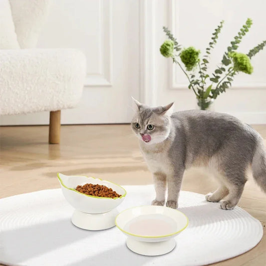 Gamelle Chat Surélevée Protection Colonne