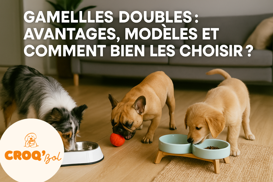 Gamelles doubles : avantages, modèles et comment bien les choisir ?
