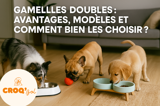 Gamelles doubles : avantages, modèles et comment bien les choisir ?