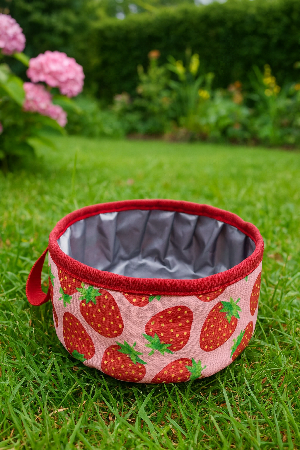 Gamelle De Transport Légère – Chien En Balade