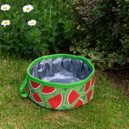 Gamelle De Transport Légère – Chien En Balade