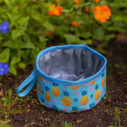 Gamelle De Transport Légère – Chien En Balade