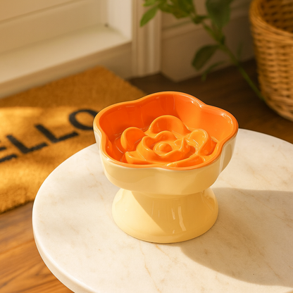 Gamelle Chien Chat Surélevée Céramique Slow Feeder