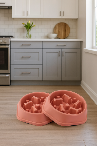 Gamelle Anti-Glouton – Taille Moyenne | Ralentit l’Ingestion & Améliore la Digestion