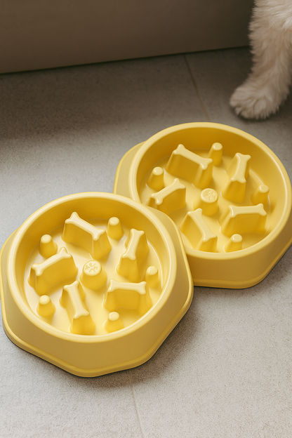 Gamelle Anti-Glouton – Taille Moyenne | Ralentit l’Ingestion & Améliore la Digestion