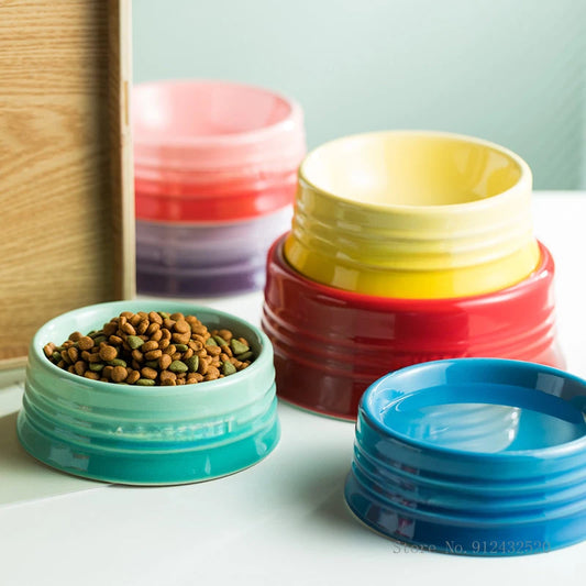 Gamelle Chien Chat Ronde Dégradée Élégante