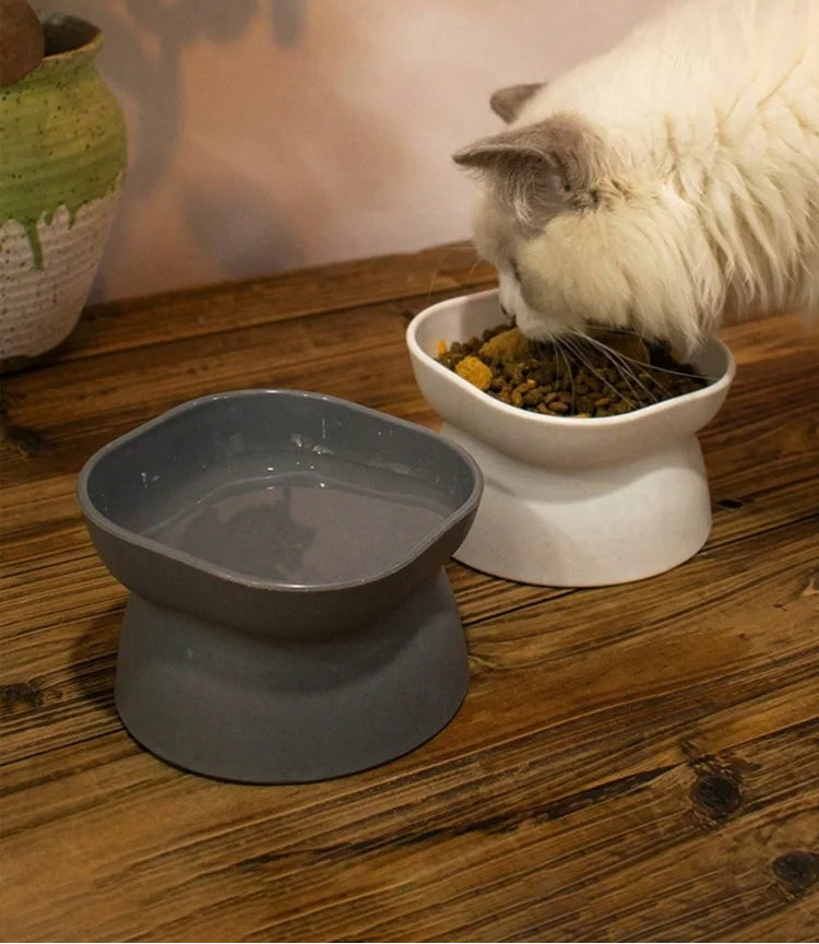 Gamelle Design Chat et Chien – Bol Pour Eau Et Croquettes