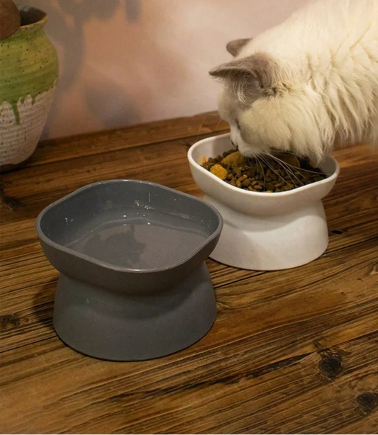 Gamelle Design Chat et Chien – Bol Pour Eau Et Croquettes