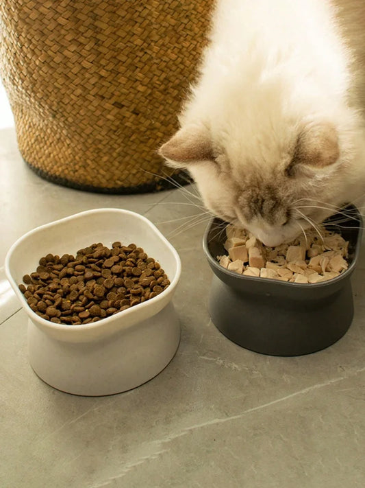 Gamelle Design Chat et Chien – Bol Pour Eau Et Croquettes