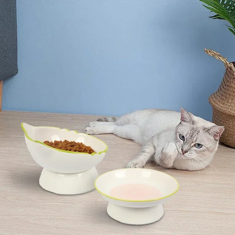 Gamelle Chat Surélevée Protection Colonne