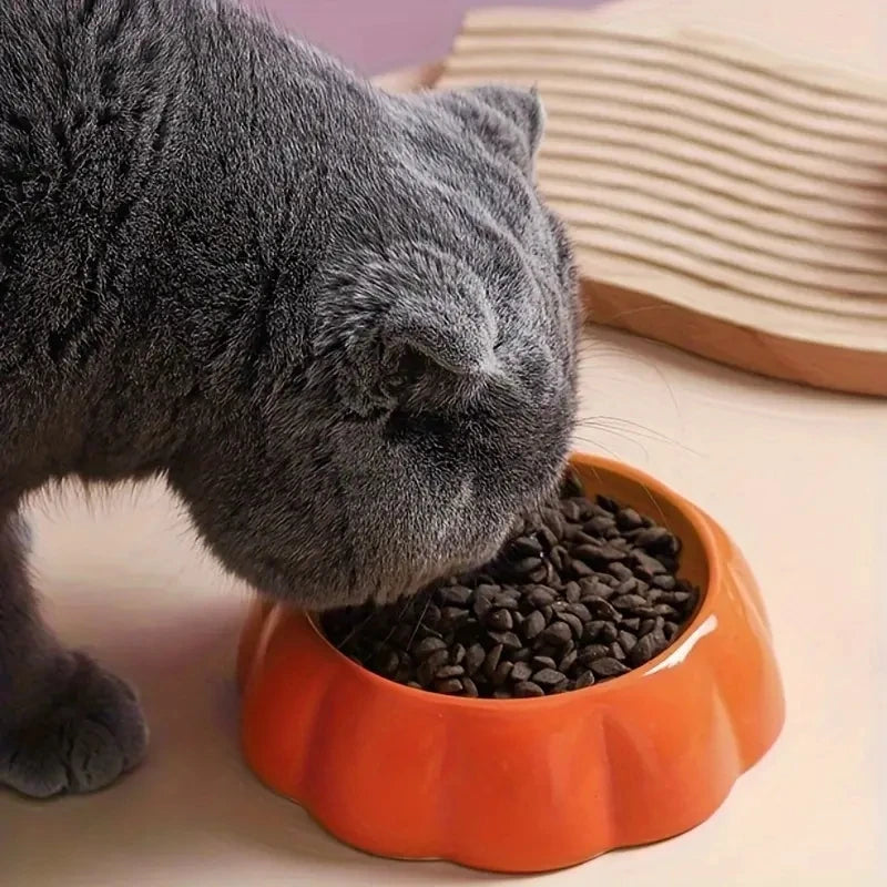 Gamelle Chien Chat Céramique Fruits Colorés