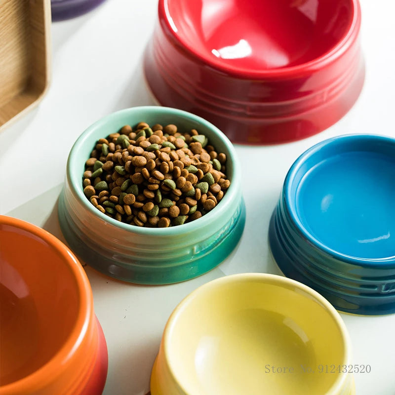 Gamelle Chien Chat Ronde Dégradée Élégante