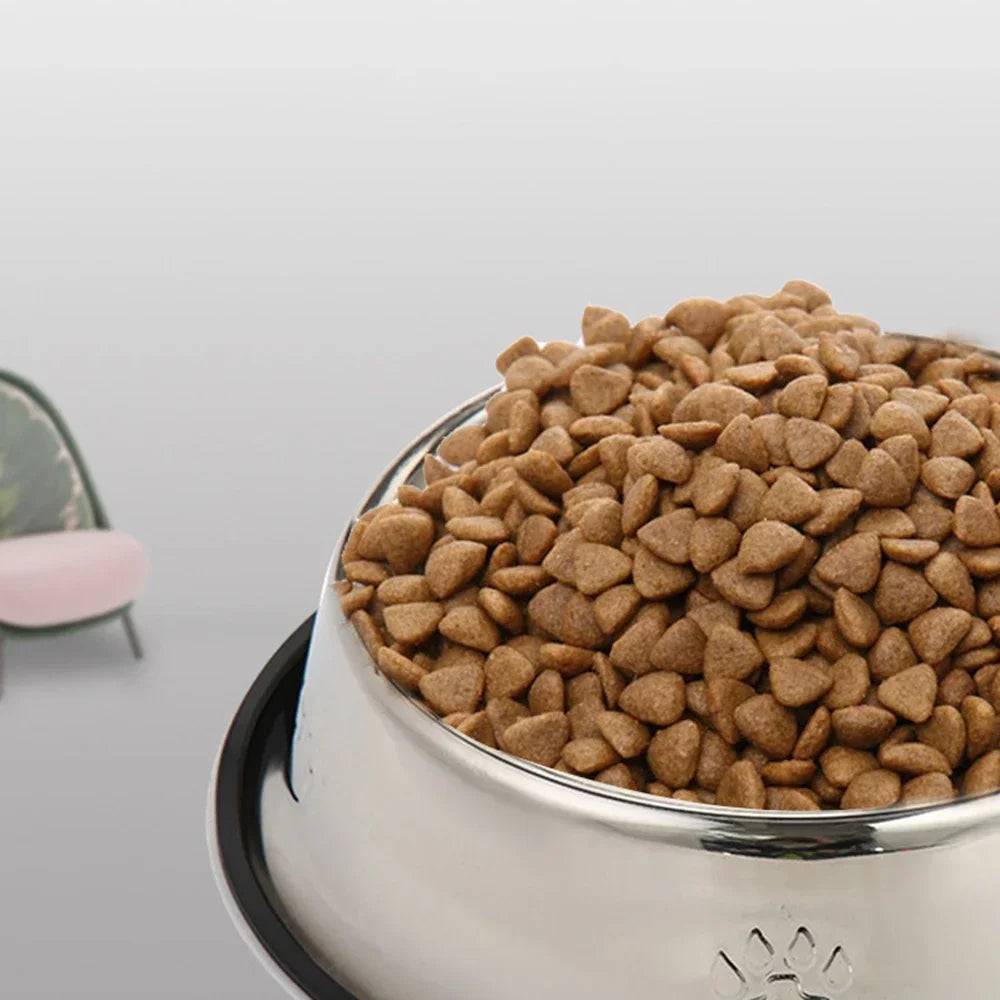 Gamelle Chien et Chat Inox antidérapante eau et croquettes